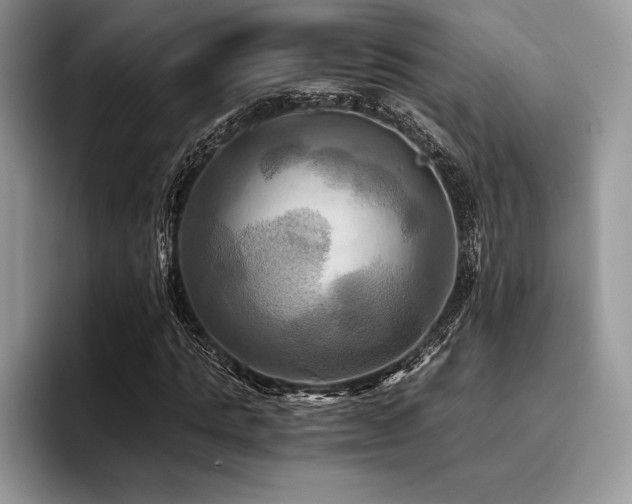 X0000096220821200801181449