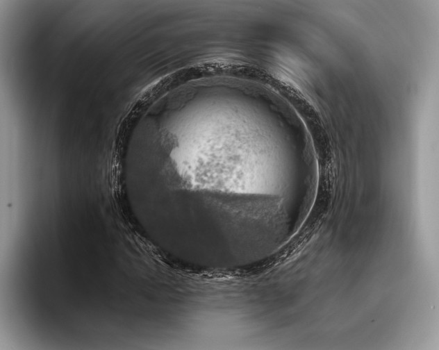 X0000096220822200801181449