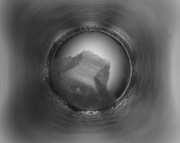 X0000096220823200801181449