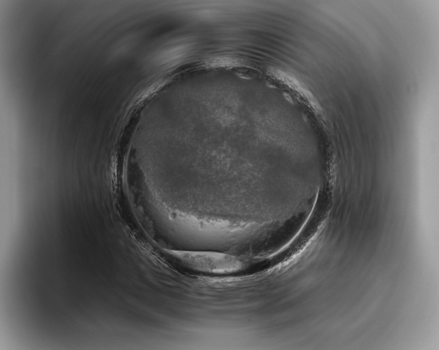 X0000096220825200801181449