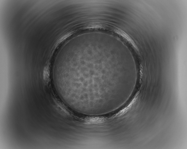 X0000096220826200801181449