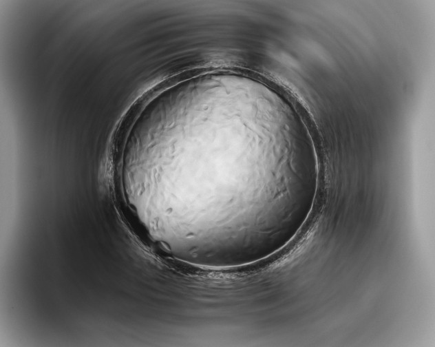 X0000096220827200801181449