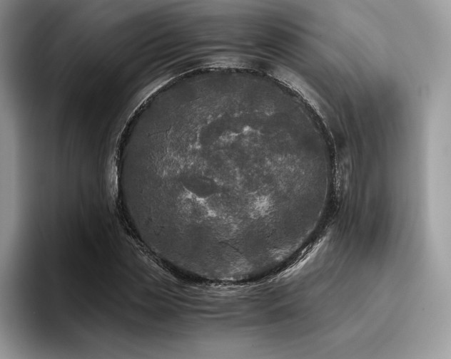 X0000096220829200801181449