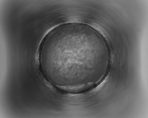 X0000096220830200801181449