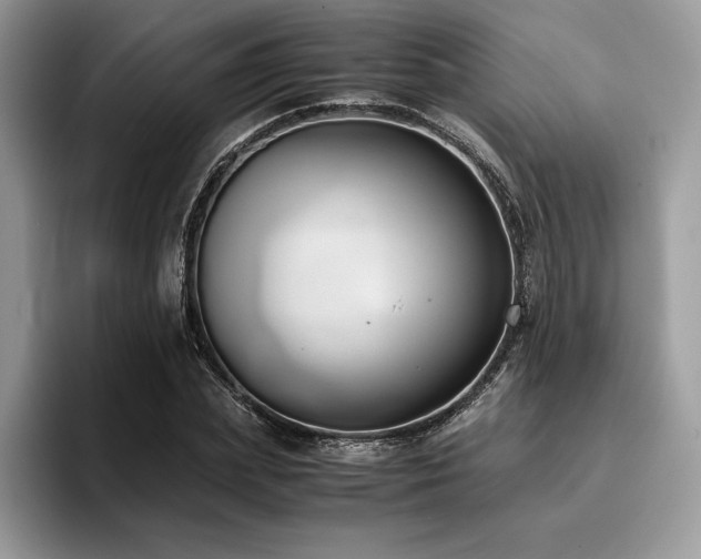 X0000096220831200801181449