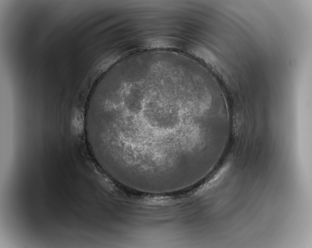 X0000096220833200801181449