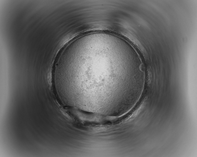 X0000096220834200801181449