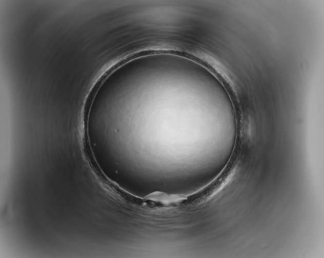 X0000096220837200801181449