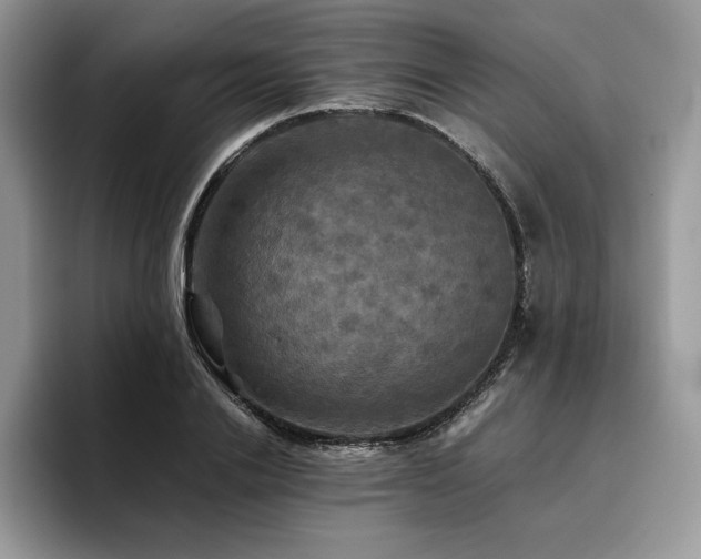 X0000096220838200801181449