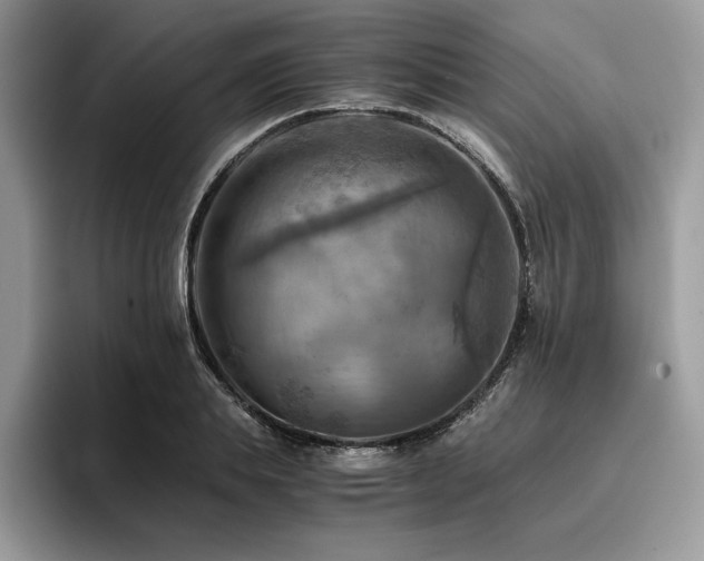 X0000096220839200801181449