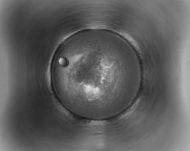 X0000096220840200801181449