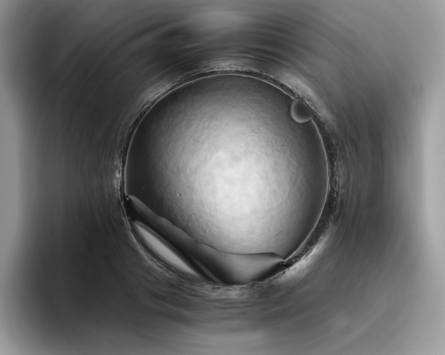 X0000096220841200801181449