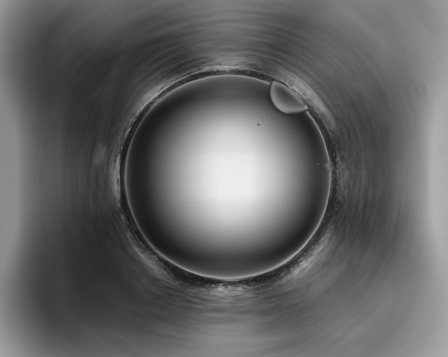 X0000096220842200801181449