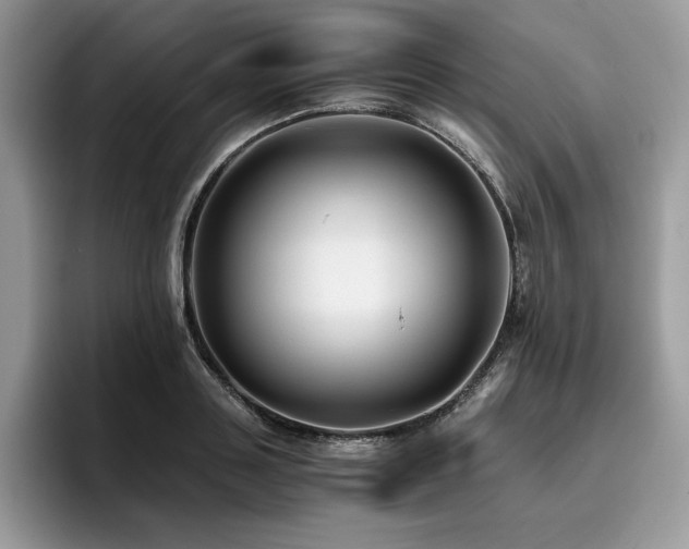 X0000096220843200801181449
