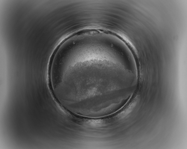 X0000096220845200801181449