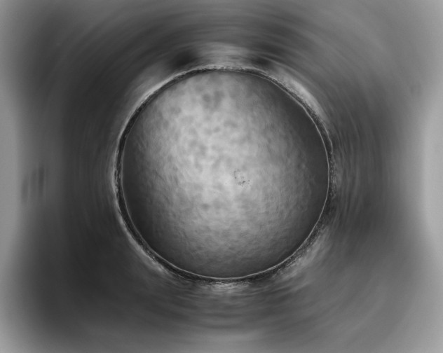 X0000096220847200801181449