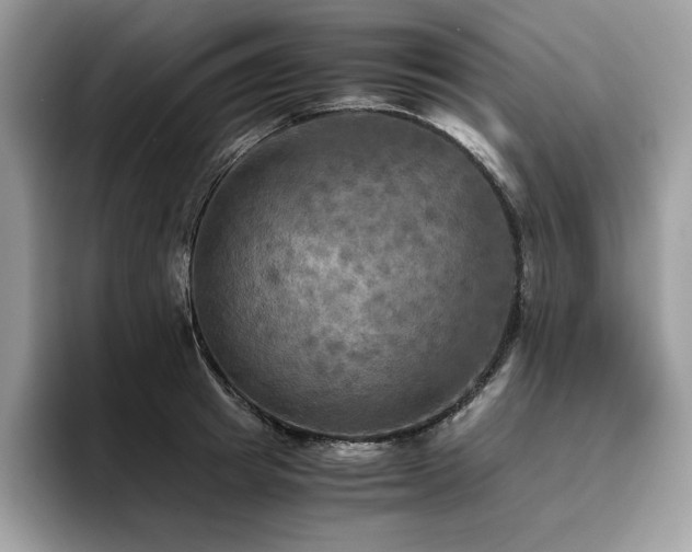 X0000096220849200801181449
