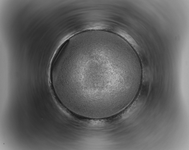 X0000096220850200801181449