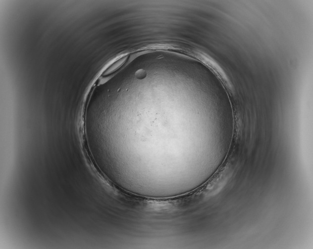 X0000096220852200801181449
