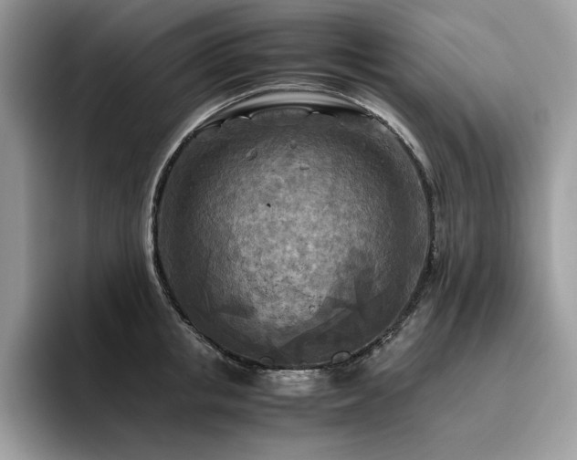 X0000096220853200801181449