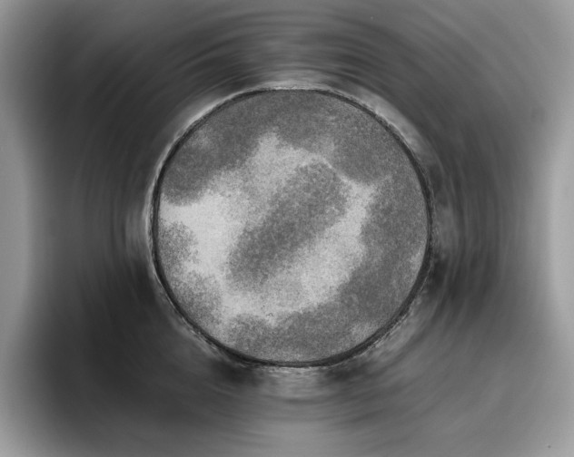 X0000096220856200801181449