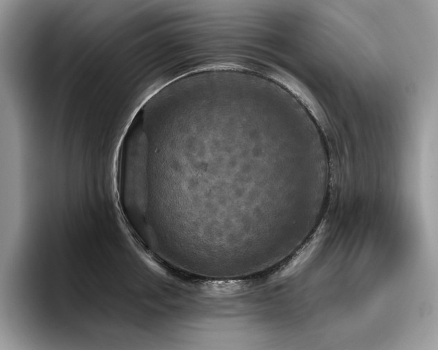 X0000096220858200801181449