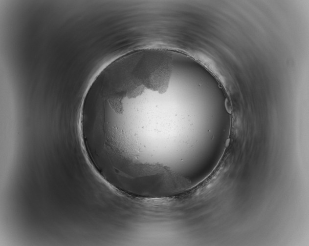 X0000096220863200801181449