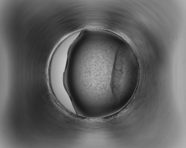 X0000096220864200801181449