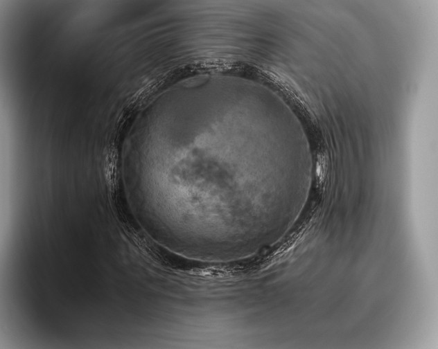X0000096220867200801181448