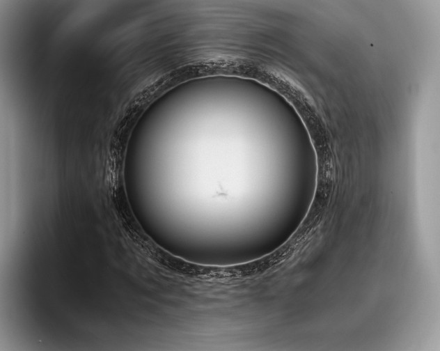 X0000096220869200801181448