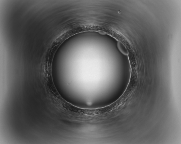 X0000096220870200801181448