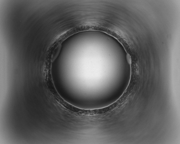 X0000096220872200801181448