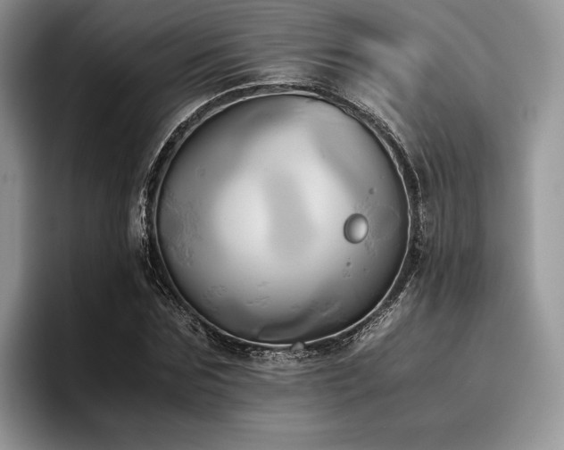 X0000096220875200801181448