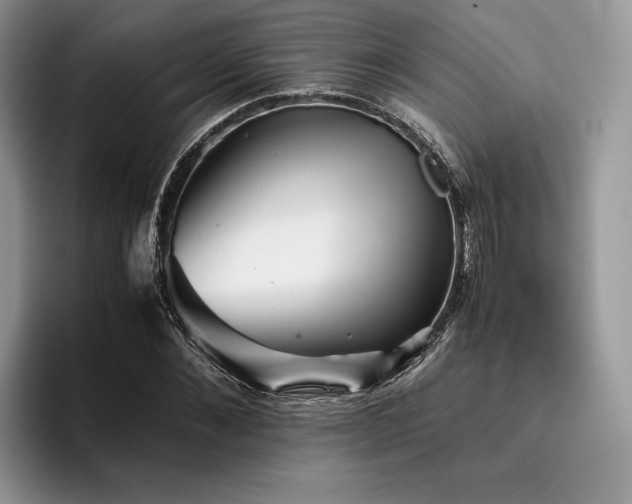 X0000096220876200801181448