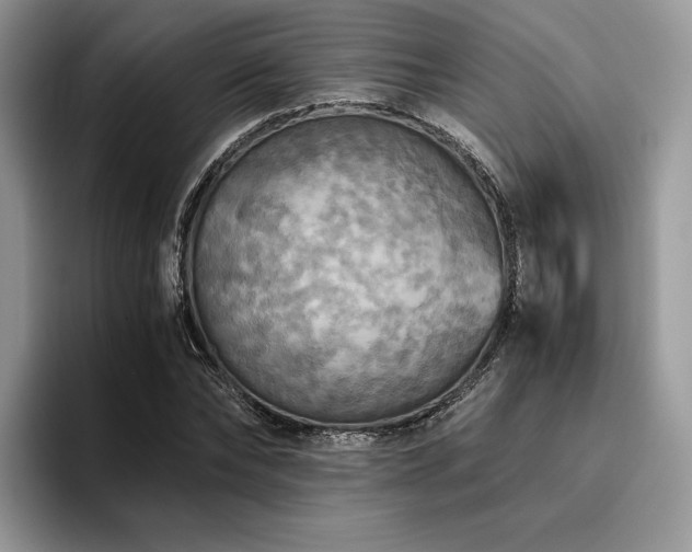 X0000096220878200801181448