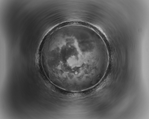 X0000096220879200801181448