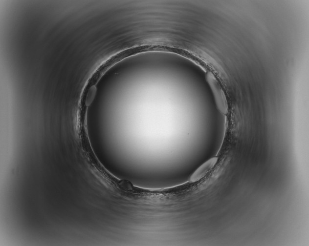 X0000096220880200801181448