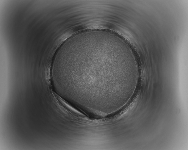 X0000096220881200801181448
