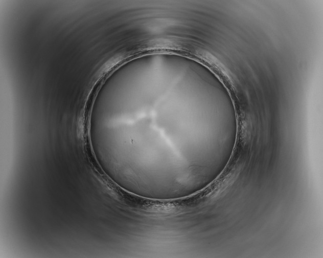 X0000096220882200801181448
