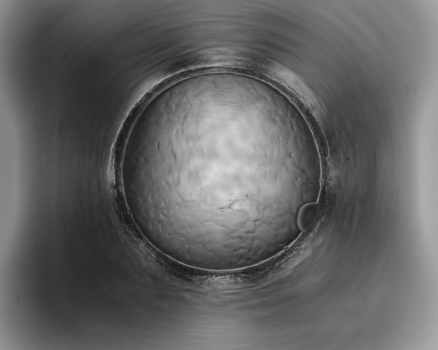 X0000096220883200801181448