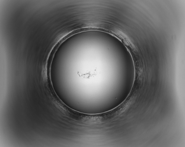 X0000096220884200801181448