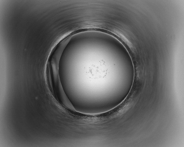 X0000096220885200801181448