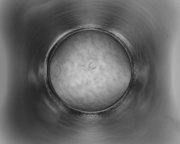X0000096220886200801181448