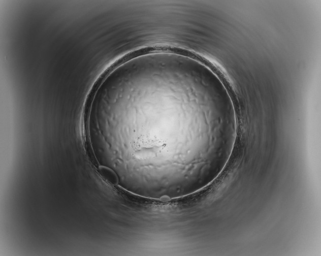 X0000096220887200801181448