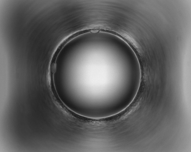 X0000096220888200801181448