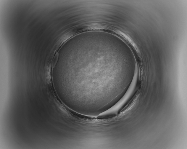 X0000096220889200801181448