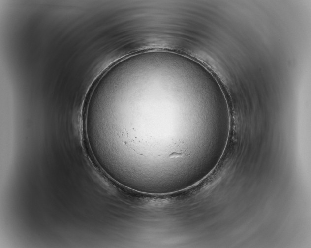 X0000096220890200801181448