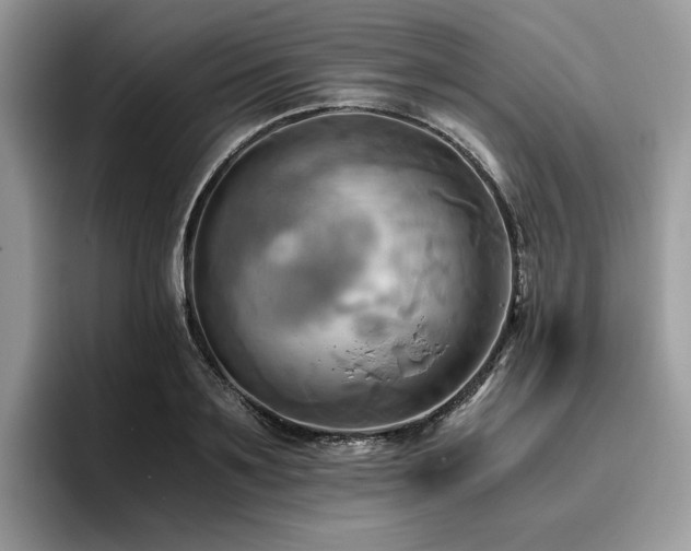 X0000096220891200801181448