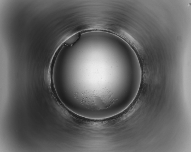X0000096220892200801181448