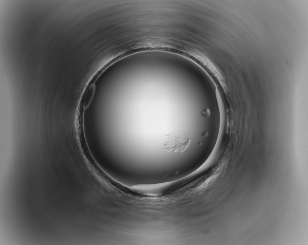 X0000096220893200801181448